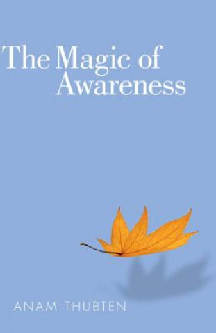 Книга Magic of Awareness Anam Thubten