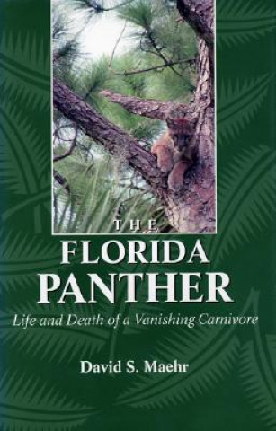 Książka Florida Panther David S. Maehr