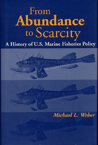 Kniha From Abundance to Scarcity Micheal L. Weber