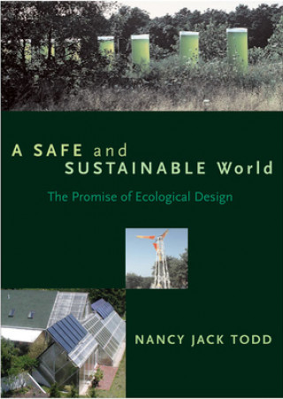 Buch Safe and Sustainable World Nancy Jack Todd