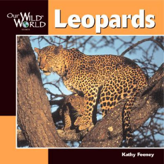 Książka Leopards Kathy Feeney