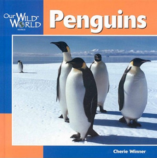 Kniha Penguins Cherie Winner