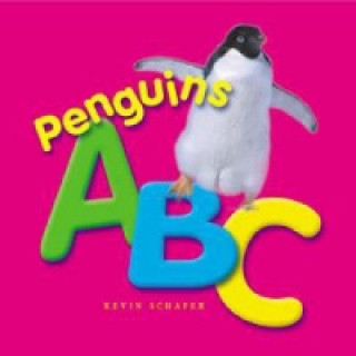 Carte Penguins ABC Kevin Schafer