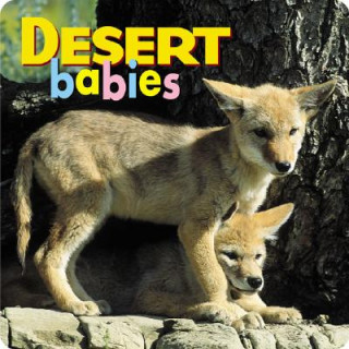 Kniha Desert Babies Creative Publishing International