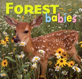 Carte Forest Babies Creative Publishing International