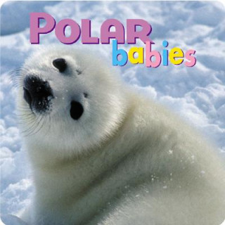 Kniha Polar Babies Creative Publishing International