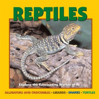 Kniha Reptiles Deborah Dennard