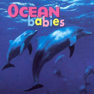 Книга Ocean Babies BD Kristen McCurry