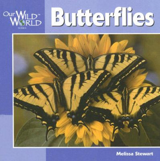 Kniha Butterflies Melissa Stewart