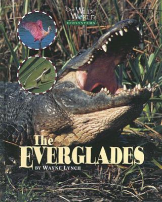 Carte Everglades Wayne Lynch
