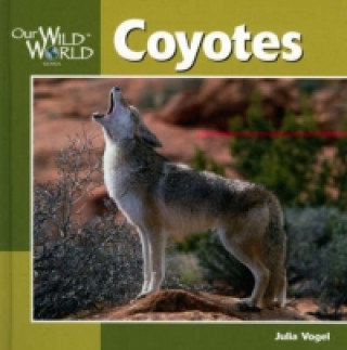 Carte Coyotes Julia Vogel