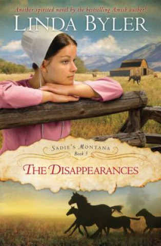 Knjiga Disappearances Linda Byler