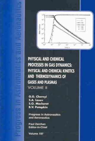 Kniha Physical and Chemical Processes in Gas Dynamics G.G. Chernyi