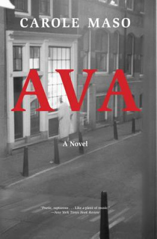 Книга Ava Carole Maso