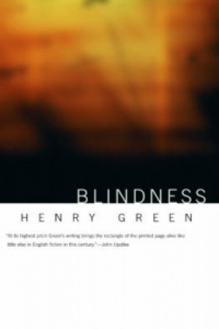 Buch Blindness Henry Green