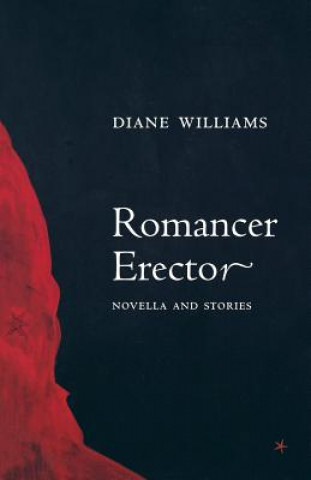 Könyv Romancer Erector Diane Williams