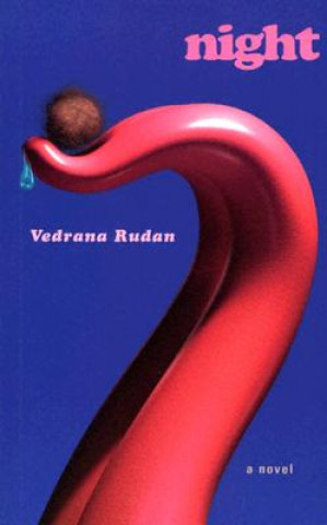 Książka Night Vedrana Rudan