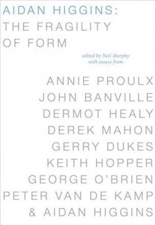 Kniha Aidan Higgins Annie Proulx