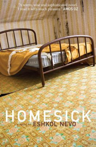 Kniha Homesick Sondra Silverston