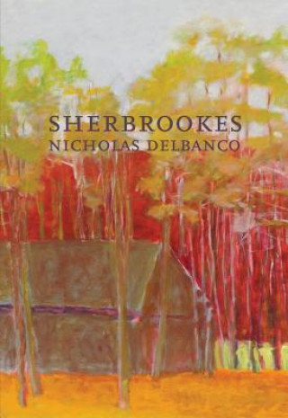 Könyv Sherbrookes Nicholas Delbanco