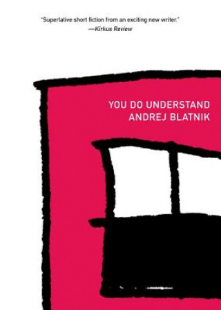 Knjiga You Do Understand Andrej Blatnik