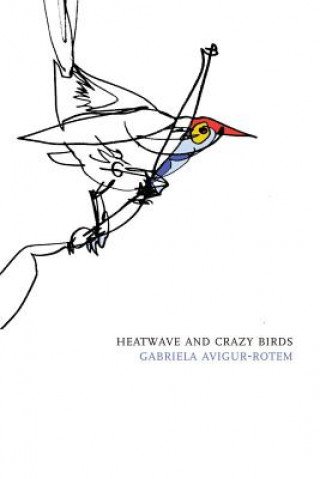 Kniha Heatwave and Crazy Birds Gabriela Avigur