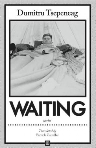 Knjiga Waiting: stories Dumitru Tsepeneag