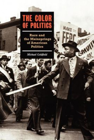 Kniha Color Of Politics Michael Goldfield