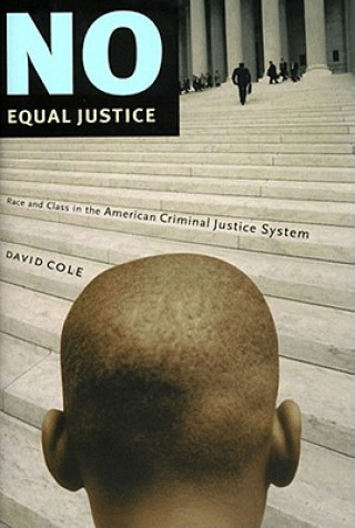 Könyv No Equal Justice David Cole
