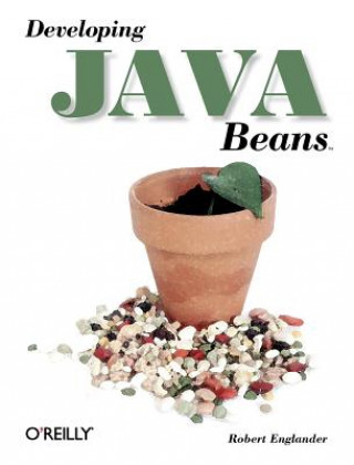Książka Developing Java Beans Robert Englander