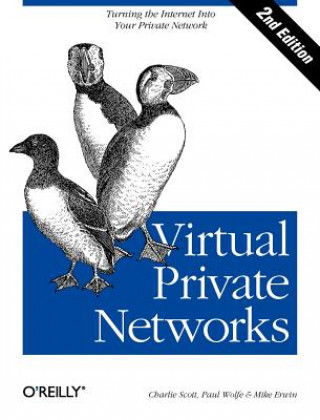 Carte Virtual Private Networks 2e Michael Erwin