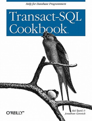 Könyv Transact-SQL Cookbook Ales Spetic