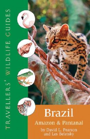 Könyv Brazil David L. Pearson