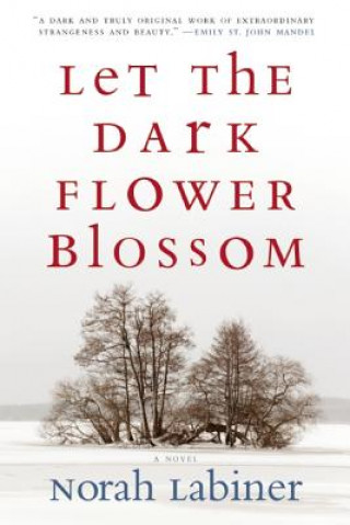 Könyv Let the Dark Flower Blossom Norah Labiner