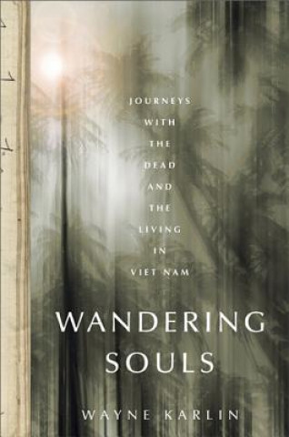 Kniha Wandering Souls Wayne Karlin