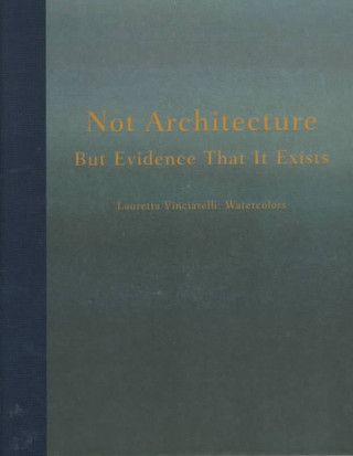 Libro Not Architecture But Evidence That it Exists HODGE BROOKE