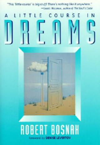 Книга Little Course in Dreams Robert Bosnak