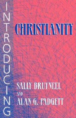 Buch Introducing Christianity Sally Bruyneel