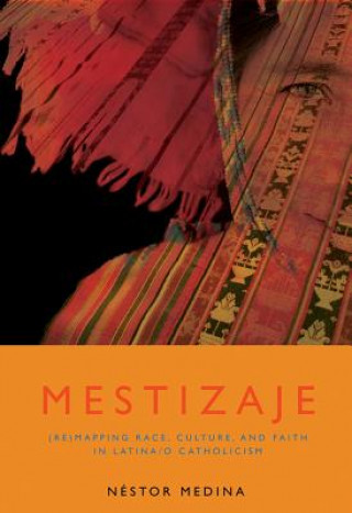 Kniha Mestizaje Nestor Medina