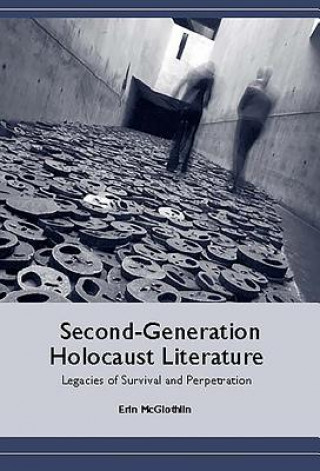 Book Second-Generation Holocaust Literature Erin McGlothlin