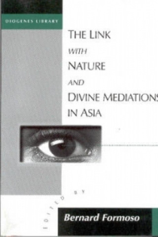 Книга Link with Nature and Divine Meditations in Asia Bernard Formoso