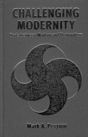 Knjiga Challenging Modernity Mark Pegrum