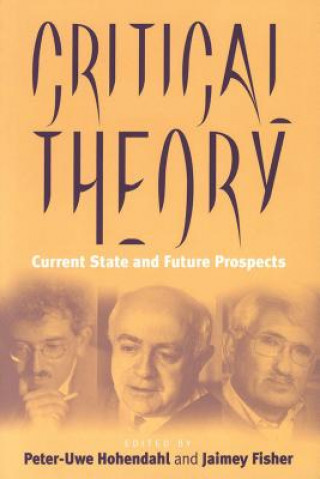 Book Critical Theory Peter Uwe Hohendahl