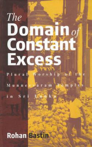 Kniha Domain of Constant Excess Rohan Bastin