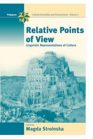 Buch Relative Points of View Magda Stroinska