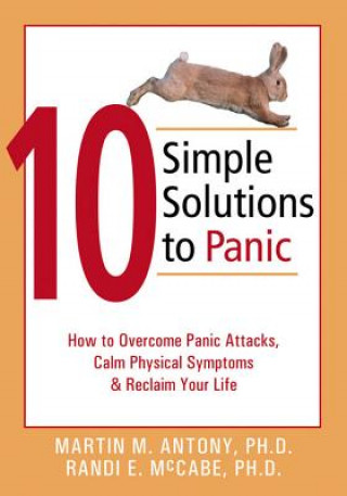 Buch 10 Simple Solutions to Panic Martin M. Antony