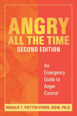 Knjiga Angry All The Time Ronald T. Potter-Efron