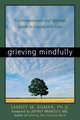 Könyv Grieving Mindfully Sameet M. Kumar