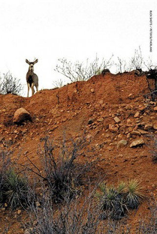 Kniha Buck Shots Lawrence R. Rinder