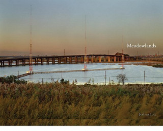 Kniha Meadowlands Joshua Lutz